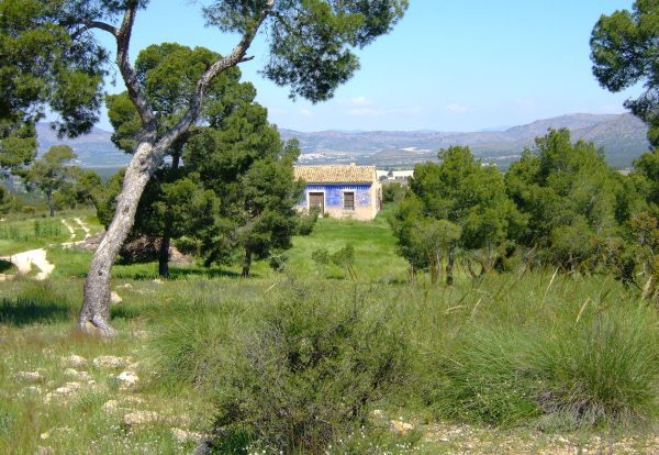 imagen 1 de Finca Agrícola en Murcia