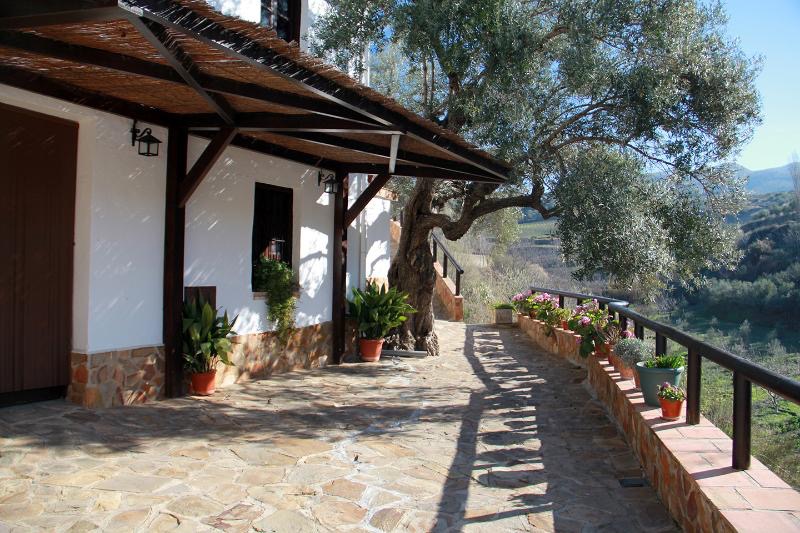 imagen 2 de Cortijo de recreo y bodega