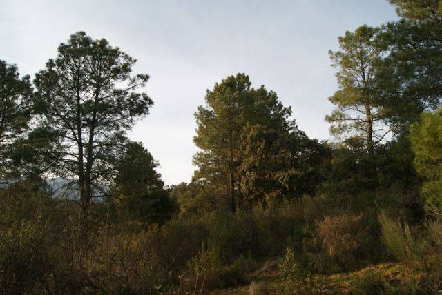 imagen 1 de Venta de terreno para alojamientos rurales en Ávila ⛺