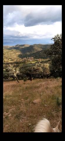 imagen 1 de Venta de Finca en Puebla Del Maestre