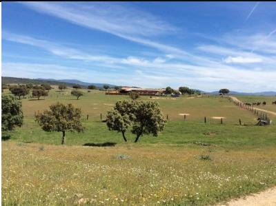 imagen 1 de Venta de Finca en Don Álvaro