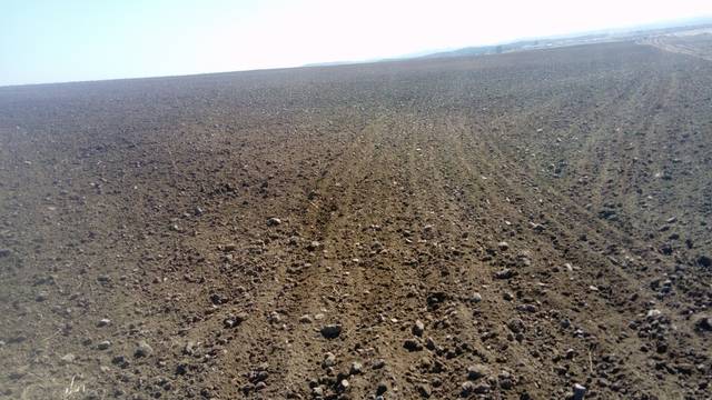 imagen 1 de Venta de Finca en Azuaga