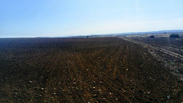 imagen 1 de Venta de Finca en Azuaga