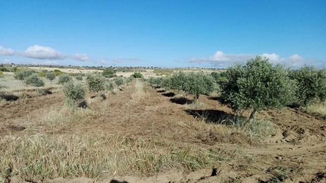 imagen 1 de Venta de Finca en Malpartida De La Serena