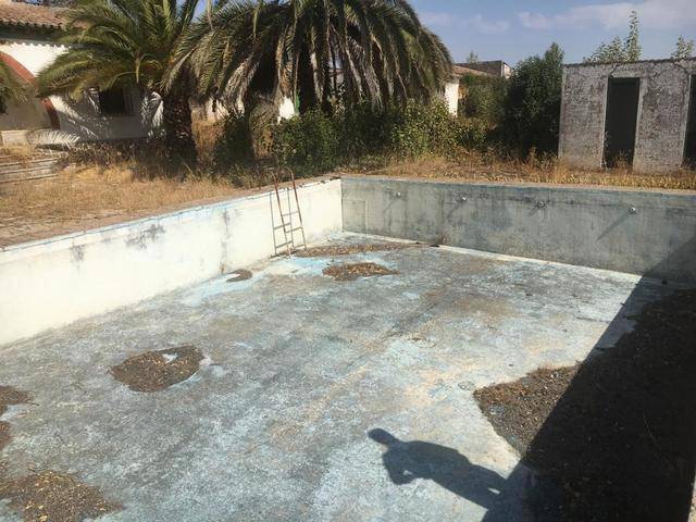 imagen 1 de Venta de Finca Rústica en Zafra (Badajoz)