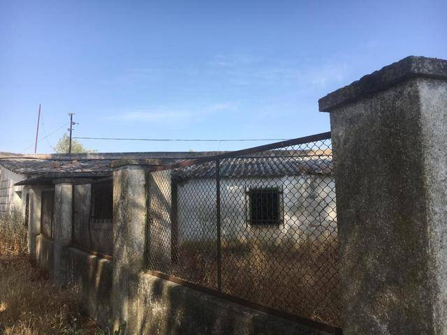 imagen 1 de Venta de Finca Rústica en Zafra (Badajoz)