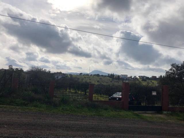 imagen 1 de Venta de finca rústica en Mérida (Badajoz)