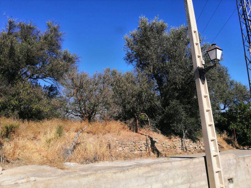 imagen 1 de Terreno en Lecrín