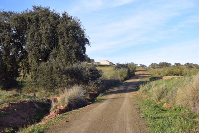 imagen 1 de Venta de finca agrícola y ganadera en Campillo De Llerena (Badajoz)