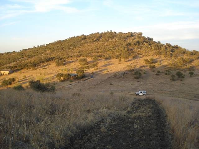 imagen 1 de Venta de parcela agrícola y ganadera en Montemolin (Badajoz)