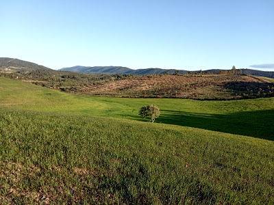 imagen 1 de Venta de fincas en La Codosera (Badajoz)