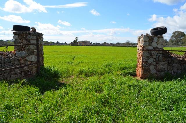 imagen 1 de Venta de parcela en Inca (Mallorca)