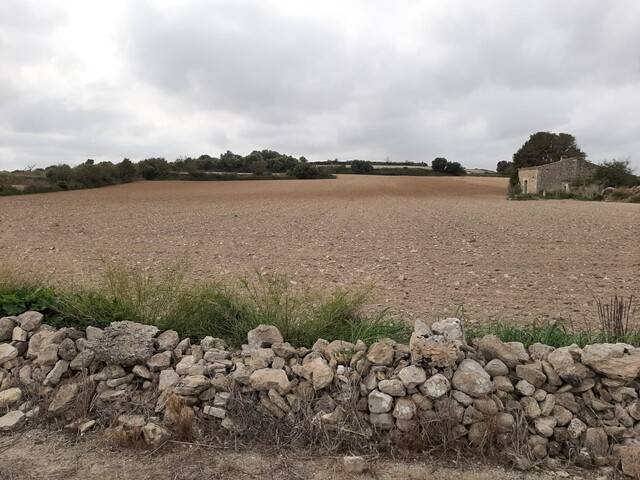 imagen 1 de Venta de finca en Santa Margalida/Margalita (Mallorca)