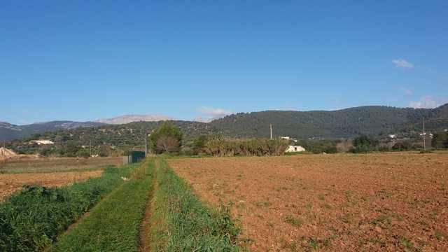 imagen 1 de Venta de finca con pozo y alberca en Campanet (Mallorca)