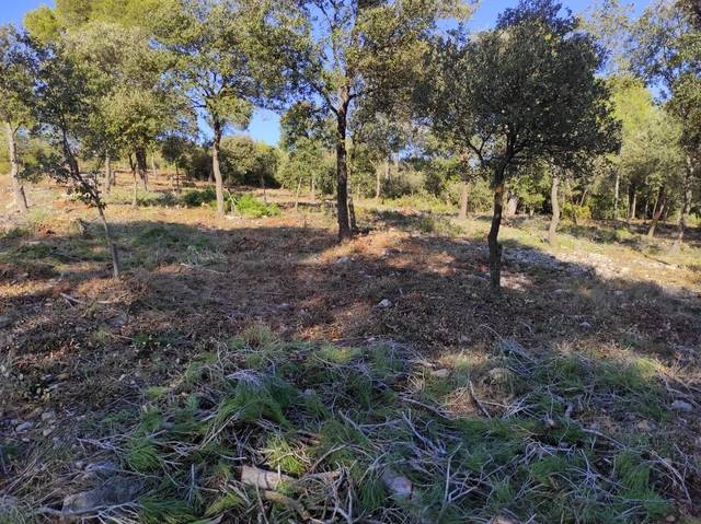 imagen 1 de Venta de terreno y finca forestal en Castellnou de Bages (Barcelona)