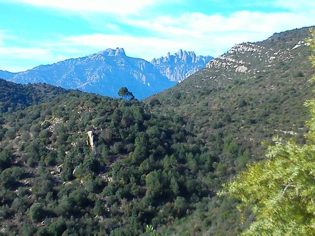 imagen 1 de Venta finca con impresionantes vistas en Abrera (Barcelona)