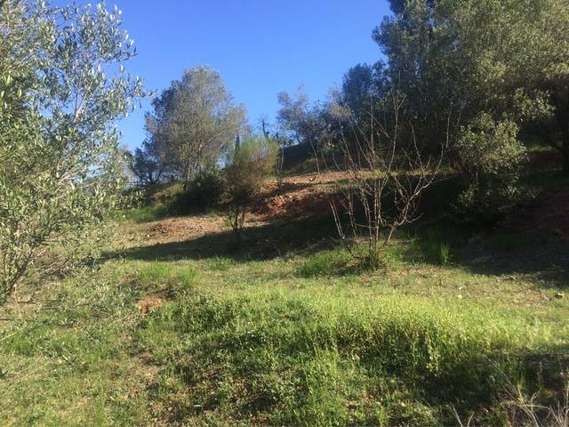 imagen 1 de Venta de olivar con casa y pozo en Castellbisbal (Barcelona)