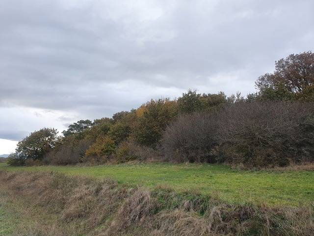imagen 1 de Venta de fincas en Arija (Burgos)