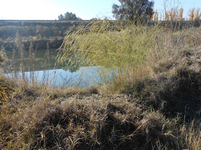 imagen 1 de Venta de fincas y parcelas en Jaraíz de la Vera (Cáceres)