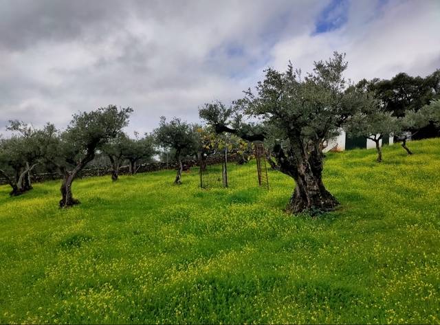 imagen 2 de Venta de finca en Serradilla (Cáceres)