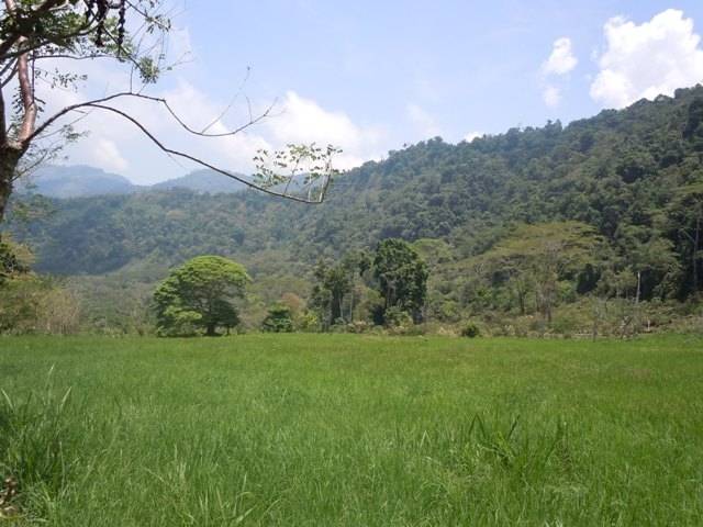 imagen 1 de Venta de magnífica finca en Baños de Montemayor (Cáceres)
