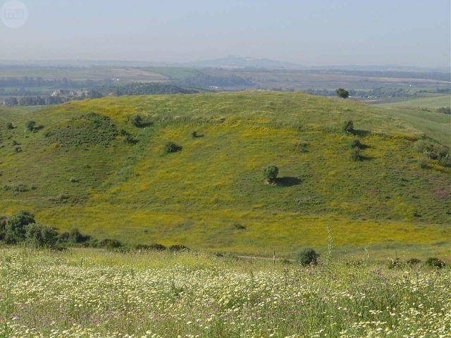 imagen 1 de Venta de preciosa finca en Arcos de la Frontera (Cádiz)