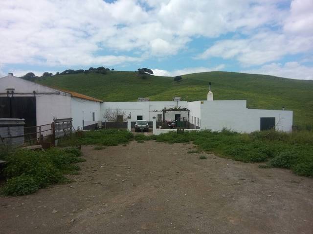 imagen 1 de Venta de gran finca en Alcalá de los Gazules (Cádiz)