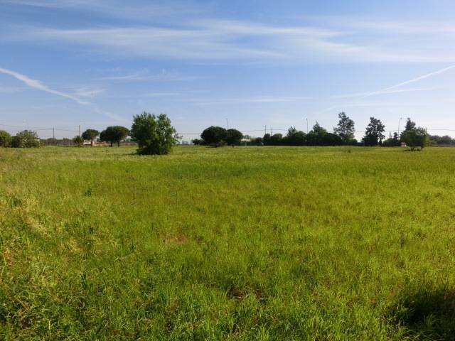 imagen 1 de Venta de finca en Chiclana de la Frontera (Cádiz)