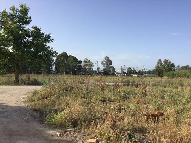 imagen 1 de Venta de finca en Jerez de la Frontera (Cádiz)