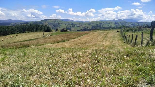 imagen 1 de Venta de fincas en Moncalian (Cantabria)