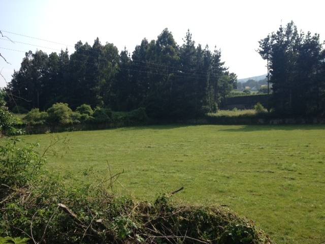 imagen 1 de Venta de magnífica finca en Molledo (Cantabria)