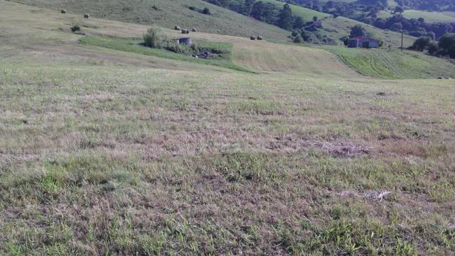 imagen 1 de Venta de finca en Vidular (Cantabria)