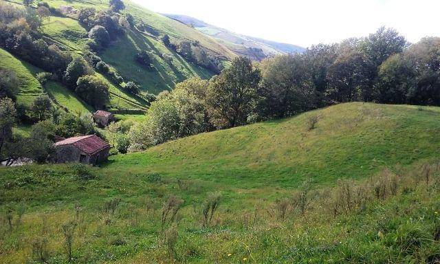 imagen 1 de Venta de preciosa finca en Selaya (Cantabria)