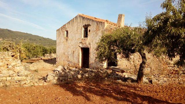 imagen 1 de Venta de finca de almendros en Ribera de Cabanes (Castellón)