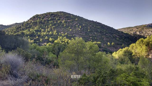 imagen 1 de Venta de finca en Borriol (Castellón)