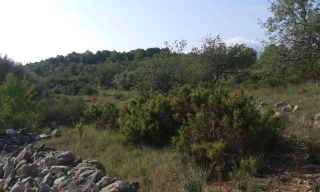imagen 1 de Venta de estupendo terreno en Càlig (Castellón)