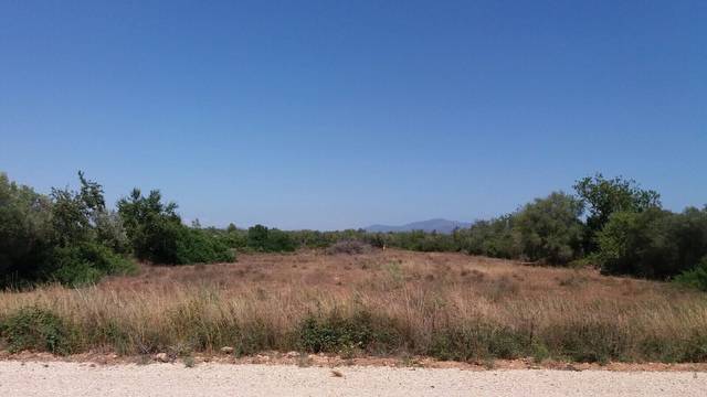imagen 1 de Venta de finca en Vinaròs/Vinaroz (Castellón)