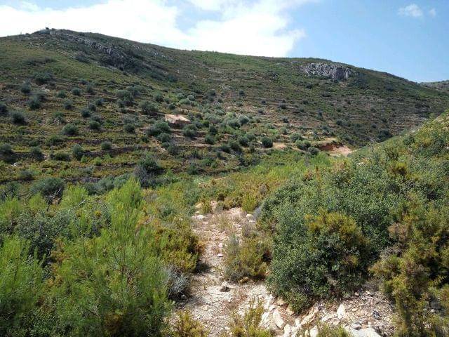 imagen 1 de Venta de finca en Les Useres/Useras (Castellón)