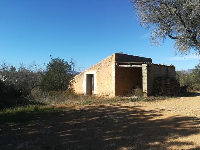imagen 1 de Venta de fincas oliveras en Canet lo Roig (Castellón)