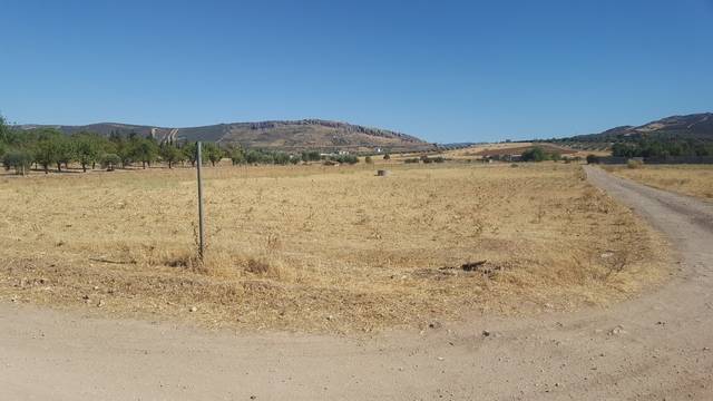 imagen 1 de Venta de finca en Puertollano (Ciudad Real)