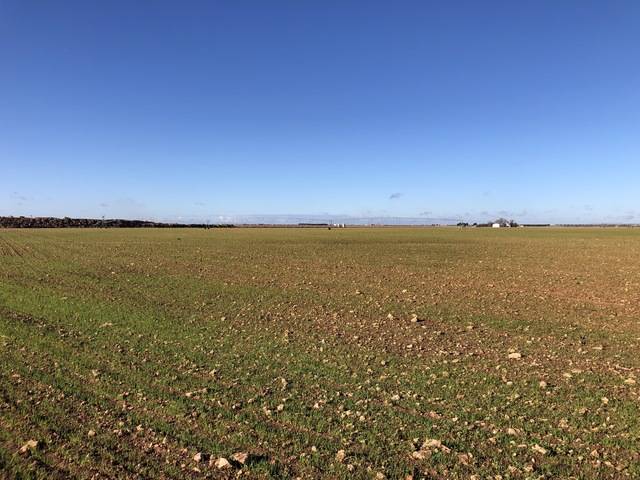 imagen 1 de Venta de finca en Socuéllamos (Ciudad Real)