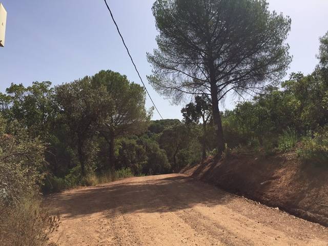 imagen 1 de Venta de finca en Sierra de Córdoba (Córdoba)
