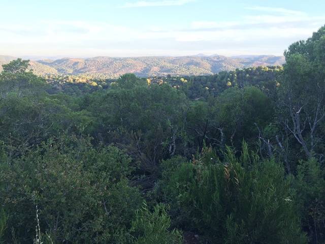 imagen 1 de Venta de finca en Sierra de Córdoba (Córdoba)