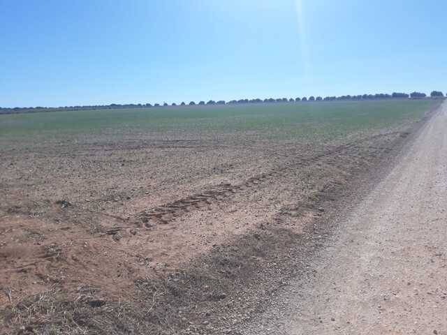 imagen 1 de Venta de terreno en Las Pedroñeras (Cuenca)