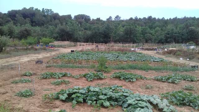 imagen 1 de Venta de gran finca en Brunyola/Bruñola (Gerona)