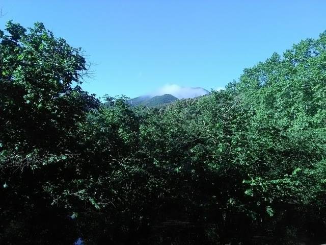 imagen 1 de Venta de finca en Anglés (Gerona)