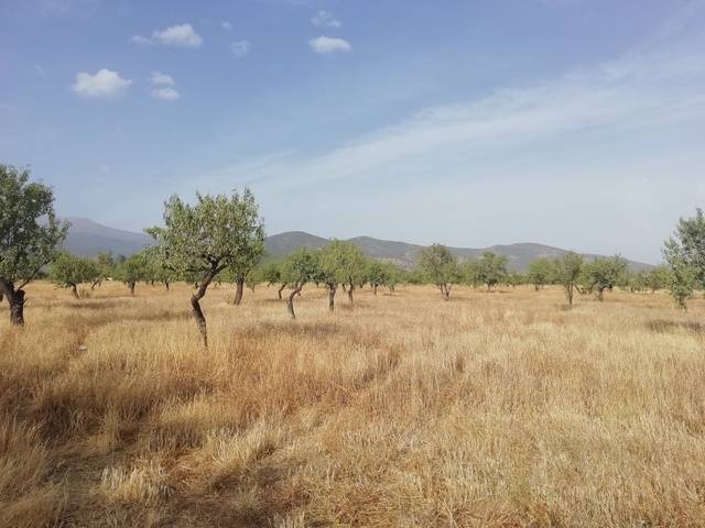 imagen 1 de Venta de finca en Jerez del Marquesado (Granada)
