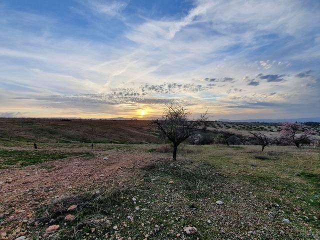 imagen 1 de Venta de finca de almendros en Moraleda de Zafayona (Granada)