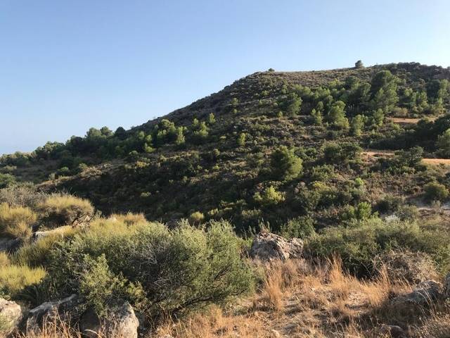 imagen 1 de Venta de magnífico terreno en Gualchos (Granada)