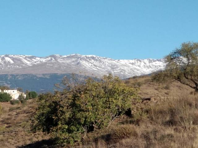 imagen 1 de Venta de finca en Torvizcón (Granada)